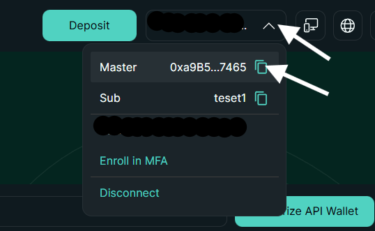 Hyperliquid Wallet Address